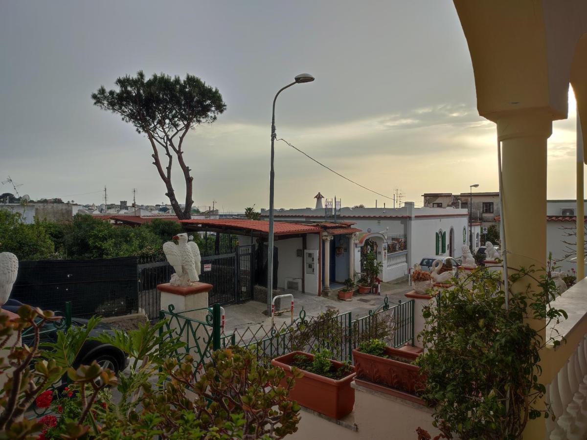 Casa D'Ambra Daire Forio di Ischia Dış mekan fotoğraf