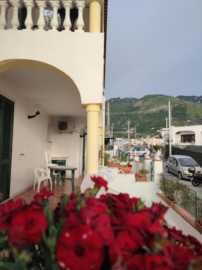 Casa D'Ambra Daire Forio di Ischia Dış mekan fotoğraf